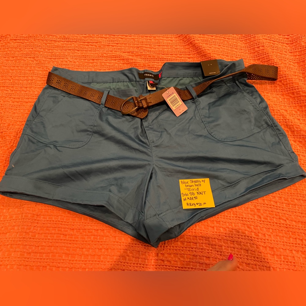 Torrid teal shorts